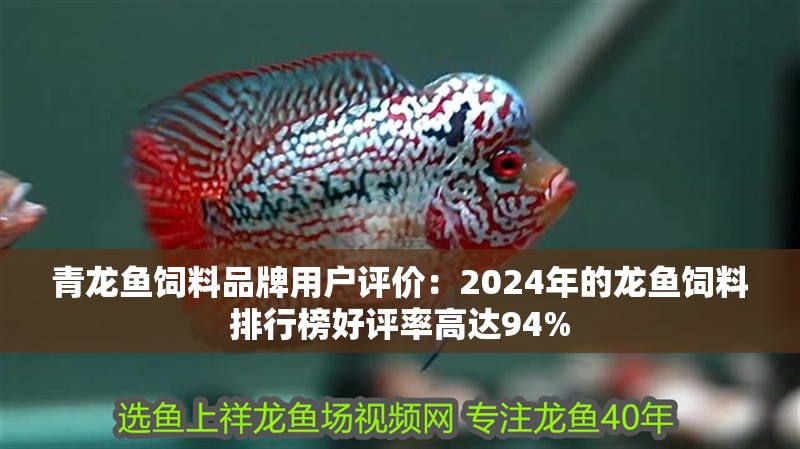 青龍魚飼料品牌用戶評價：2024年的龍魚飼料排行榜好評率高達94% 青龍魚飼料品牌用戶評價：2024年的龍魚飼料排行榜好評率高達94% 龍魚百科