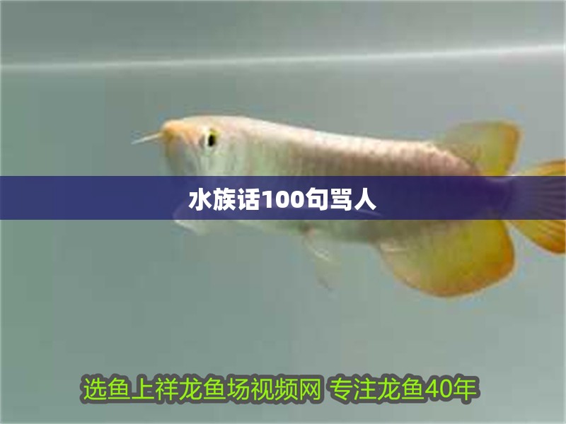 水族話100句罵人