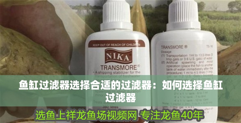 魚缸過濾器選擇合適的過濾器：如何選擇魚缸過濾器 魚缸過濾器選擇合適的過濾器：如何選擇魚缸過濾器 魚缸百科