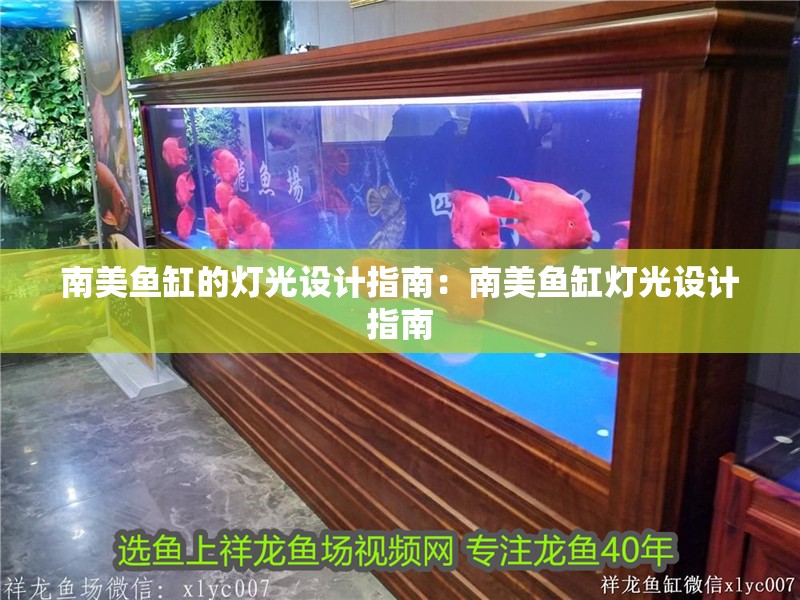 南美魚缸的燈光設計指南：南美魚缸燈光設計指南 南美魚缸的燈光設計指南：南美魚缸燈光設計指南 魚缸百科