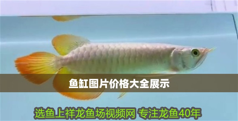 魚缸圖片價格大全展示