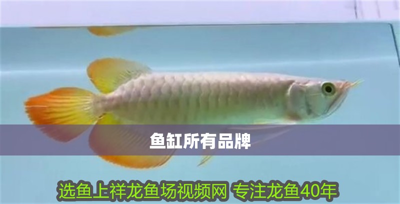 魚缸所有品牌 魚缸所有品牌 魚缸百科