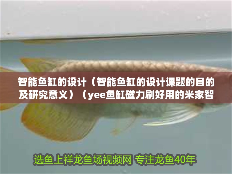 智能魚缸的設計（智能魚缸的設計課題的目的及研究意義）（yee魚缸磁力刷好用的米家智能魚缸哪個牌子好） 智能魚缸的設計（智能魚缸的設計課題的目的及研究意義）（yee魚缸磁力刷好用的米家智能魚缸哪個牌子好） 魚缸百科