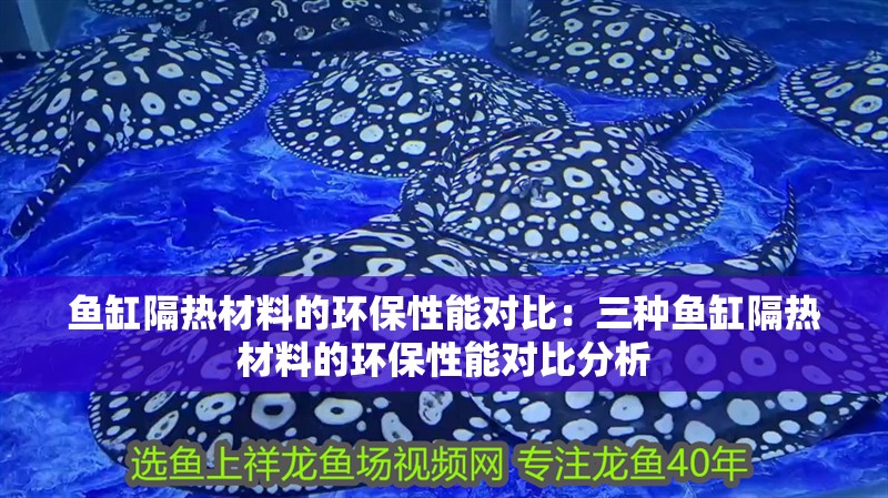 魚缸隔熱材料的環保性能對比：三種魚缸隔熱材料的環保性能對比分析