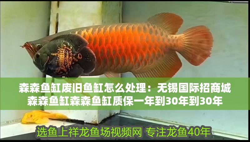 森森魚缸廢舊魚缸怎么處理：無錫國際招商城森森魚缸森森魚缸質(zhì)保一年到30年到30年