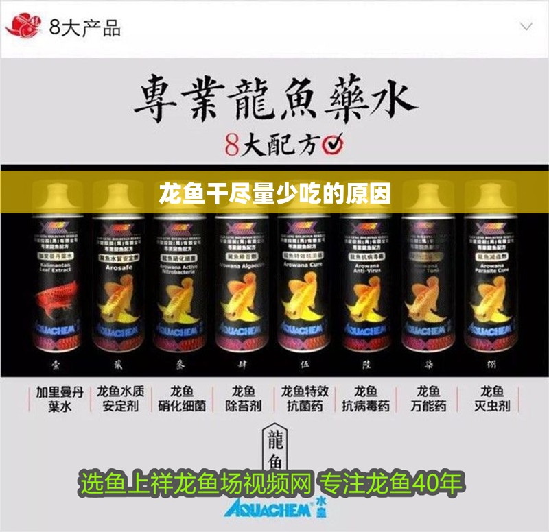 龍魚干盡量少吃的原因