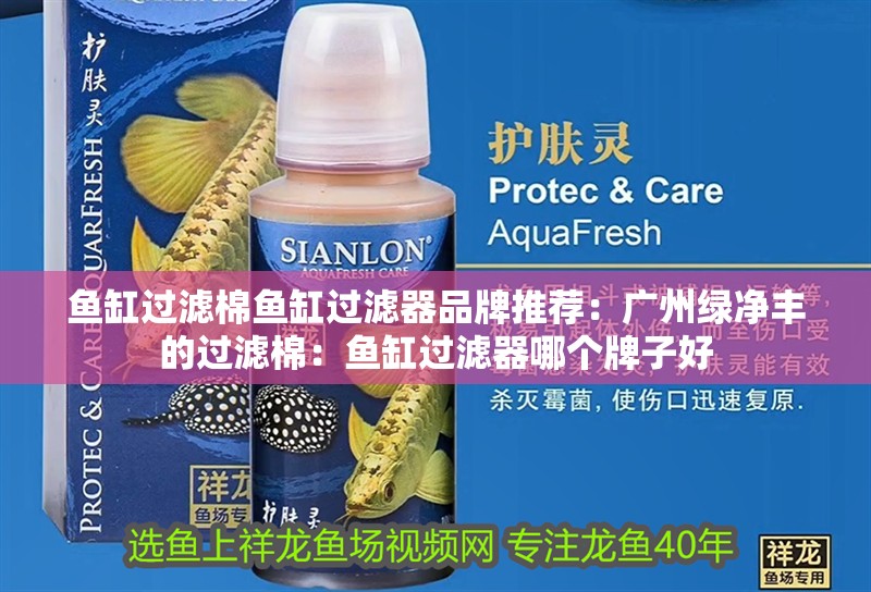 魚缸過濾棉魚缸過濾器品牌推薦：廣州綠凈豐的過濾棉：魚缸過濾器哪個牌子好