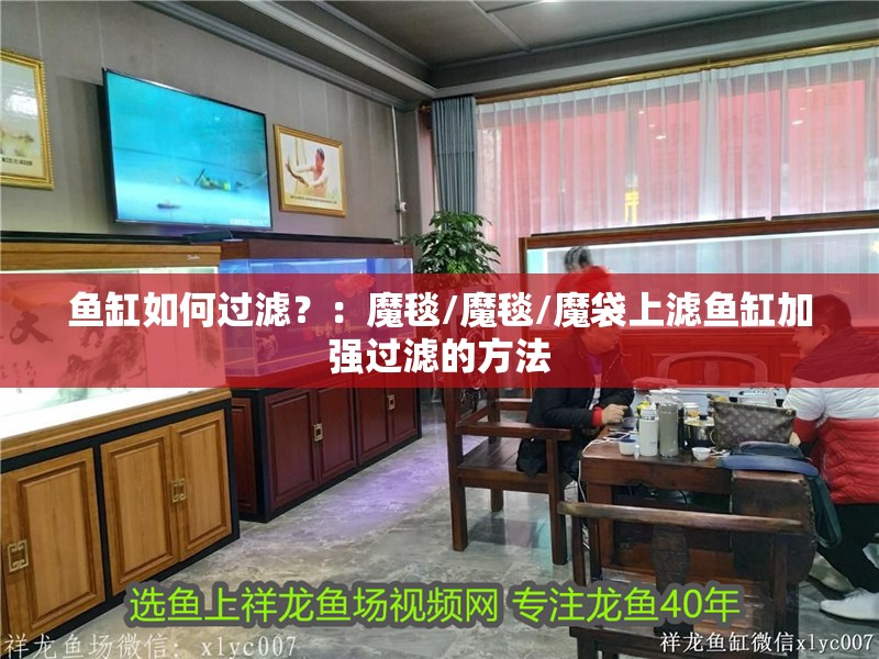 魚缸如何過濾？：魔毯/魔毯/魔袋上濾魚缸加強(qiáng)過濾的方法 魚缸如何過濾？：魔毯/魔毯/魔袋上濾魚缸加強(qiáng)過濾的方法 魚缸百科