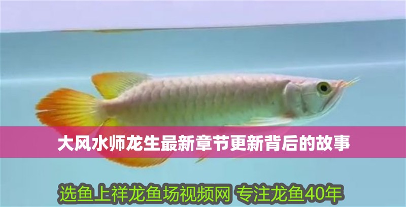 大風水師龍生最新章節更新背后的故事