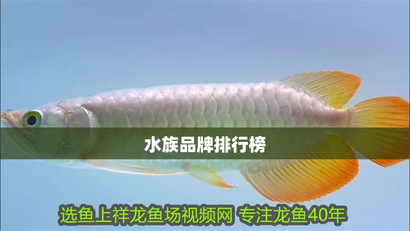 水族品牌排行榜