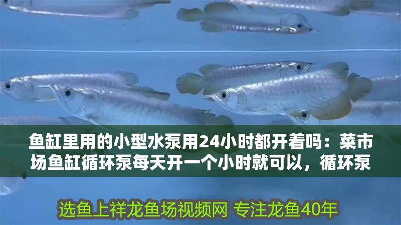 魚缸里用的小型水泵用24小時都開著嗎：菜市場魚缸循環泵每天開一個小時就可以，循環泵主要是排污用的