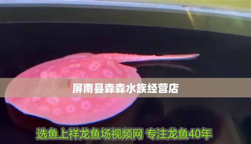 <strong><mark>屏南</mark></strong>縣森森水族經營店