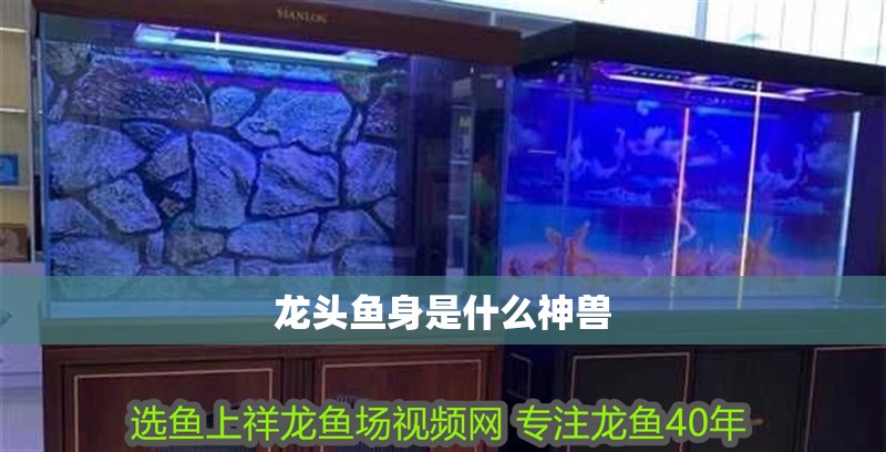 魚缸過濾器選購指南:自制魚缸過濾器魚缸上置過濾器對于養魚愛好者的必備知識 龍頭魚身是什么神獸 龍魚論壇 龍頭魚身是什么神獸 龍頭魚身是什么神獸 龍魚論壇