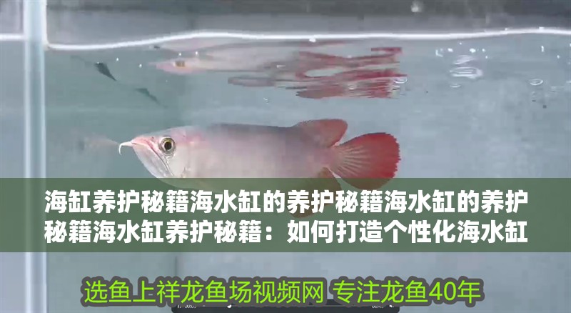 海缸養(yǎng)護秘籍海水缸的養(yǎng)護秘籍海水缸的養(yǎng)護秘籍海水缸養(yǎng)護秘籍：如何打造個性化海水缸？