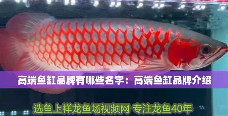 高端魚缸品牌有哪些名字：高端魚缸品牌介紹