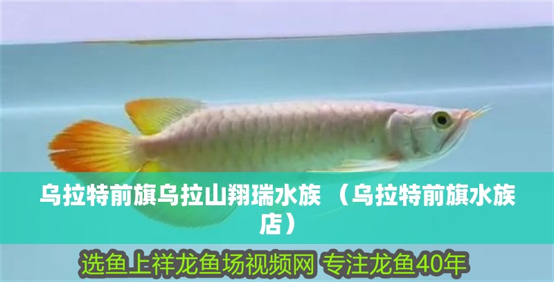 烏拉特前旗烏拉山翔瑞水族 （烏拉特前旗水族店） 烏拉特前旗烏拉山翔瑞水族 （烏拉特前旗水族店） 全國水族館企業名錄