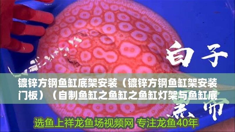 鍍鋅方鋼魚缸底架安裝（鍍鋅方鋼魚缸架安裝門板）（自制魚缸之魚缸之魚缸燈架與魚缸底柜的制作方法）