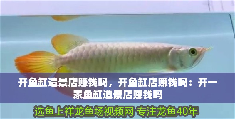 開魚缸造景店賺錢嗎，開魚缸店賺錢嗎：開一家魚缸造景店賺錢嗎