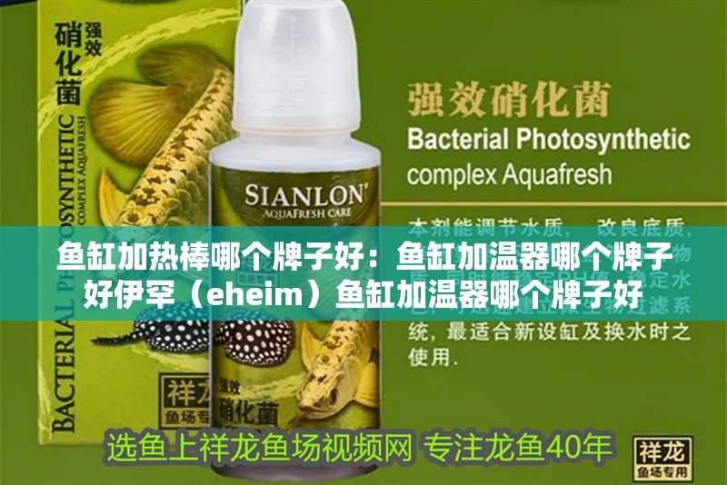 魚缸加熱棒哪個牌子好：魚缸加溫器哪個牌子好伊罕（eheim）魚缸加溫器哪個牌子好