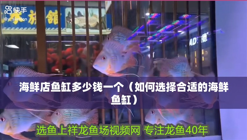 海鮮店魚缸多少錢一個（如何選擇合適的海鮮魚缸）