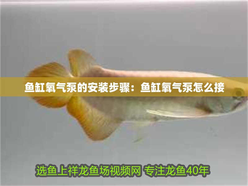 魚缸氧氣泵的安裝步驟：魚缸氧氣泵怎么接
