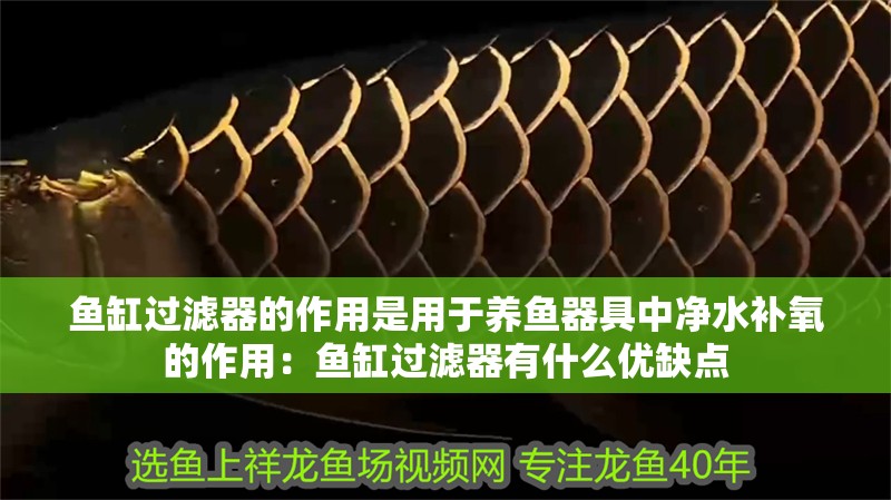 魚缸過濾器的作用是用于養魚器具中凈水補氧的作用：魚缸過濾器有什么優缺點