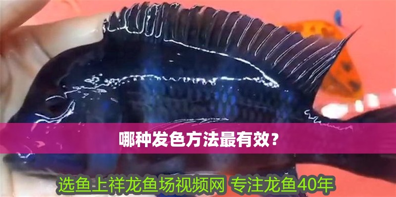 哪種發色方法最有效？