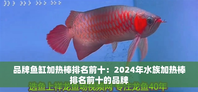 品牌魚缸加熱棒排名前十：2024年水族加熱棒排名前十的品牌