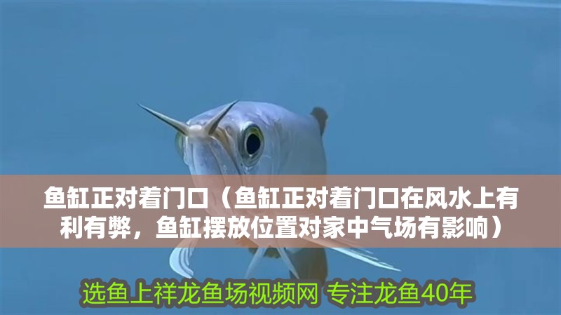 魚缸正對著門口（魚缸正對著門口在風水上有利有弊，魚缸擺放位置對家中氣場有影響）