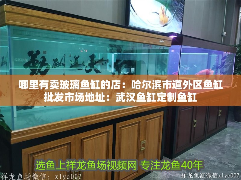 哪里有賣玻璃魚缸的店：哈爾濱市道外區魚缸批發市場地址：武漢魚缸定制魚缸