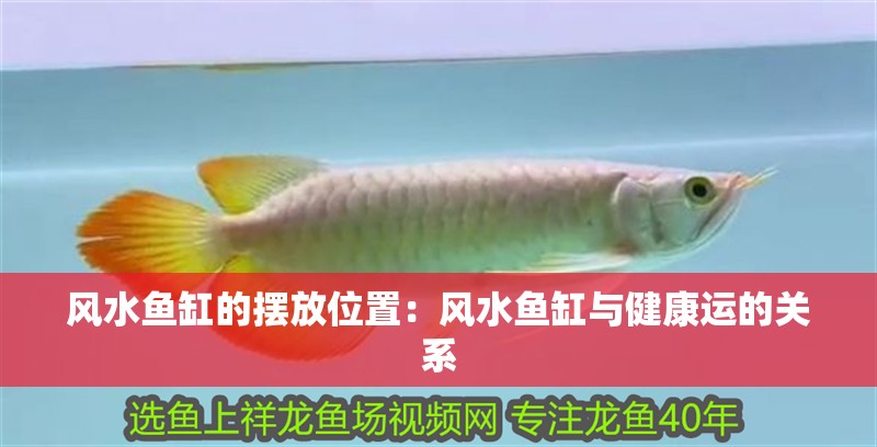 風水魚缸的擺放位置：風水魚缸與健康運的關系