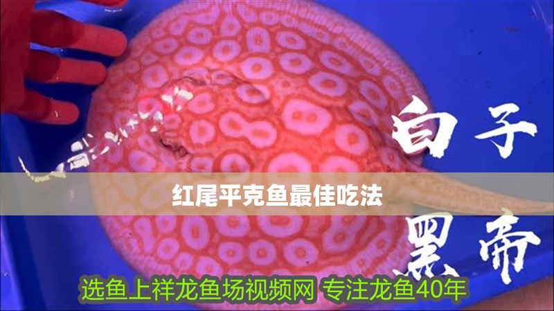 紅尾平克魚最佳吃法