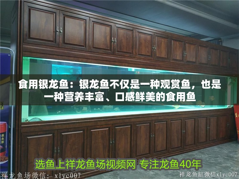 食用銀龍魚：銀龍魚不僅是一種觀賞魚，也是一種營養豐富、口感鮮美的食用魚