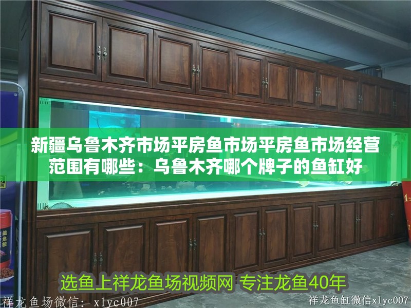 新疆烏魯木齊市場(chǎng)平房魚市場(chǎng)平房魚市場(chǎng)經(jīng)營(yíng)范圍有哪些：烏魯木齊哪個(gè)牌子的魚缸好 新疆烏魯木齊市場(chǎng)平房魚市場(chǎng)平房魚市場(chǎng)經(jīng)營(yíng)范圍有哪些：烏魯木齊哪個(gè)牌子的魚缸好 魚缸百科