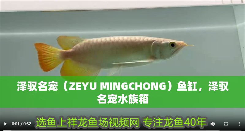 澤馭名寵（ZEYU MINGCHONG）魚缸，澤馭名寵水族箱