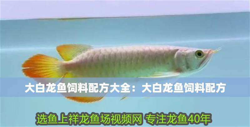 大白龍魚飼料配方大全：大白龍魚飼料配方