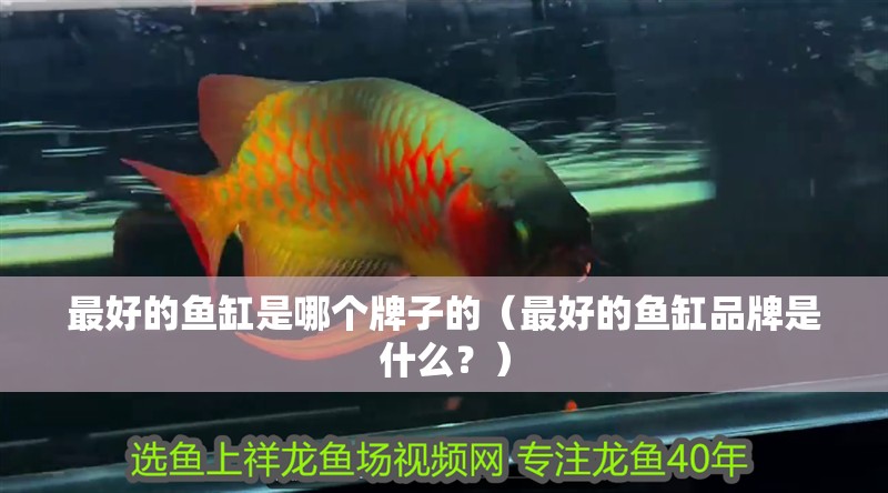 魚缸用增氧泵價格是多少:魚缸增氧機-xtrac增氧機-xtrac增氧機 最好的魚缸是哪個牌子的(最好的魚缸品牌是什么?) 魚缸百科 最好的魚缸是哪個牌子的(最好的魚缸品牌是什么?) 最好的魚缸是哪個牌子的(最好的魚缸品牌是什么?) 魚缸百科