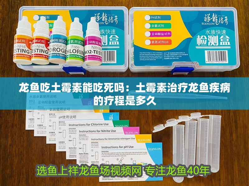 龍魚吃土霉素能吃死嗎：土霉素治療龍魚疾病的療程是多久