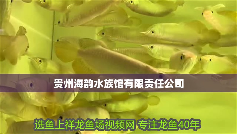 貴州海韻水族館有限責任公司
