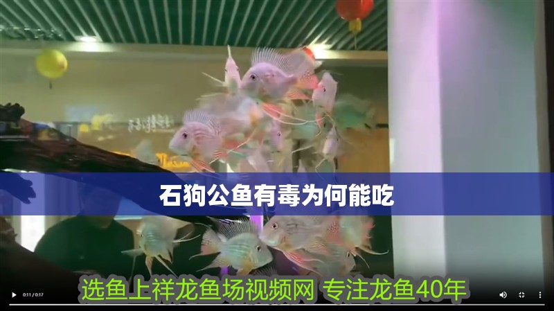 石狗公魚有毒為何能吃
