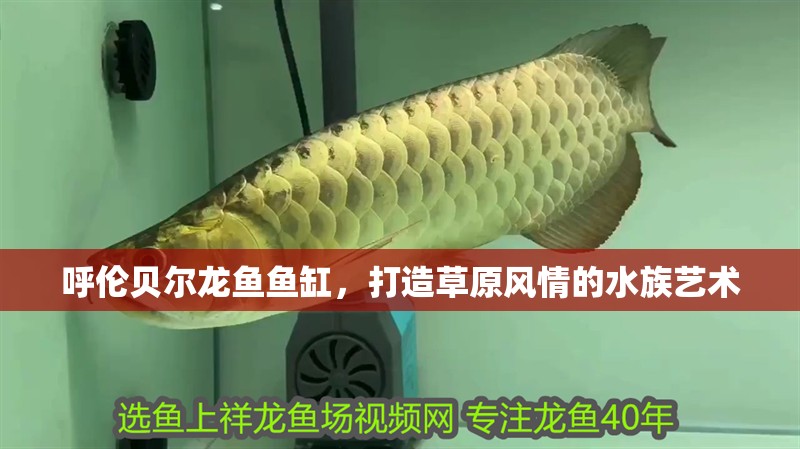 呼倫貝爾龍魚魚缸，打造草原風情的水族藝術 呼倫貝爾龍魚魚缸，打造草原風情的水族藝術 魚缸百科
