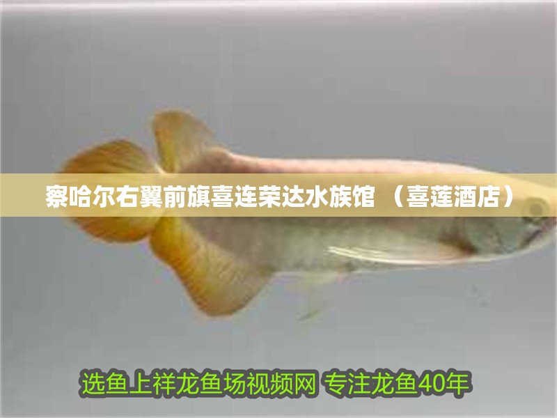察哈爾右翼前旗喜連榮達水族館 （喜蓮酒店）