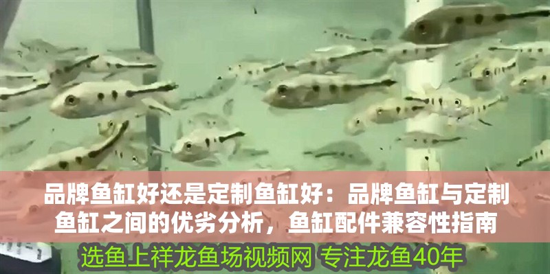 品牌魚缸好還是定制魚缸好：品牌魚缸與定制魚缸之間的優(yōu)劣分析，魚缸配件兼容性指南 品牌魚缸好還是定制魚缸好：品牌魚缸與定制魚缸之間的優(yōu)劣分析，魚缸配件兼容性指南 魚缸百科