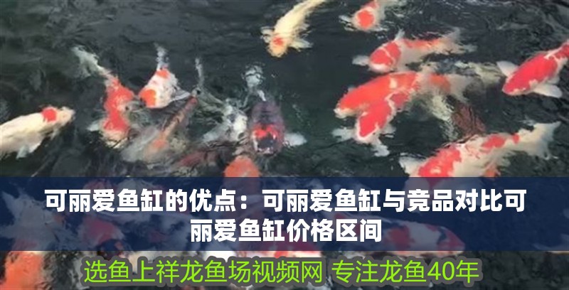 可麗愛魚缸的優(yōu)點(diǎn)：可麗愛魚缸與競品對(duì)比可麗愛魚缸價(jià)格區(qū)間