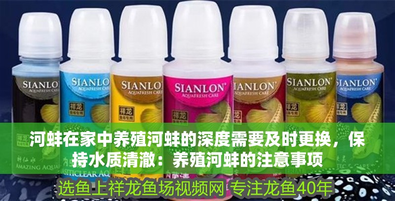 河蚌在家中養(yǎng)殖河蚌的深度需要及時更換，保持水質(zhì)清澈：養(yǎng)殖河蚌的注意事項