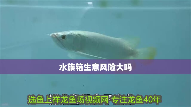 水族箱生意風險大嗎