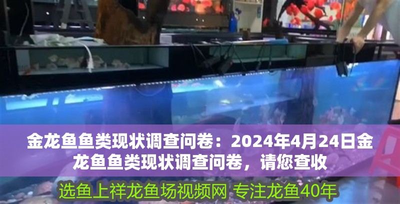 金龍魚魚類現狀調查問卷：2024年4月24日金龍魚魚類現狀調查問卷，請您查收