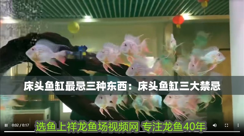 床頭魚缸最忌三種東西：床頭魚缸三大禁忌 床頭魚缸最忌三種東西：床頭魚缸三大禁忌 魚缸百科