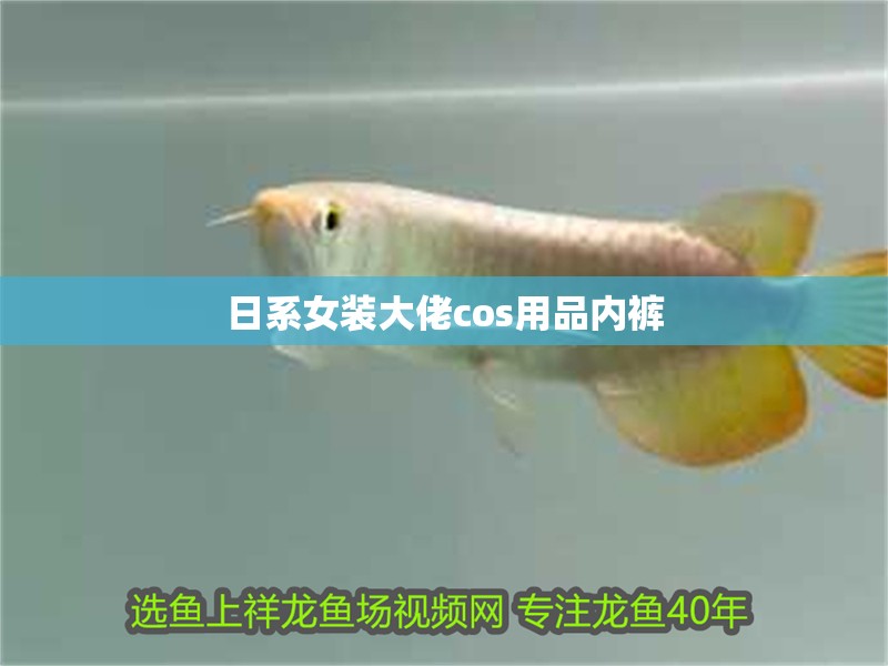 日系女裝大佬cos用品內褲