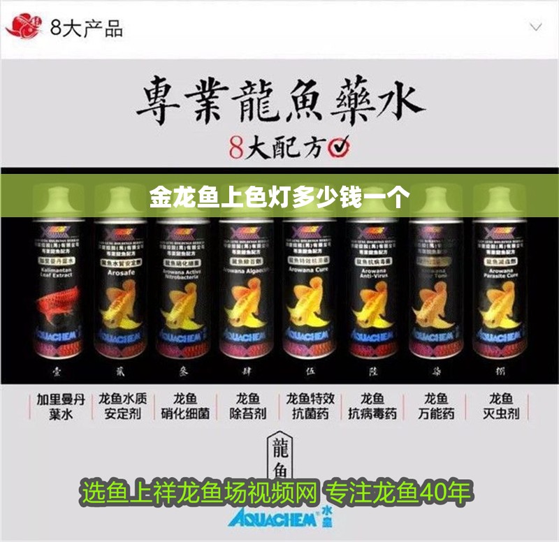 金龍魚上色燈多少錢一個 金龍魚上色燈多少錢一個 龍魚論壇